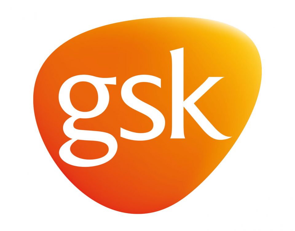 GSK stellt sich vor